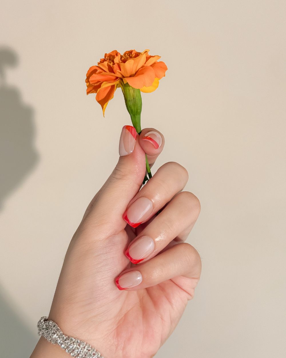 A hand withe red french tip press-on nails in short square shape is holding a flower